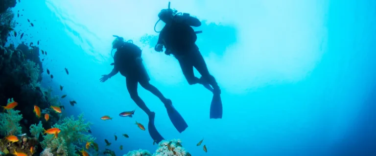 sewa mobil mudah bali wisata dalam air