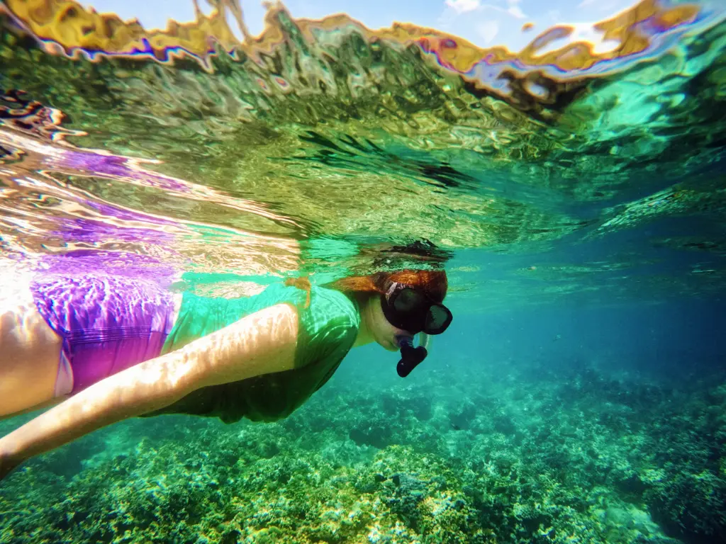sewa mobil mudah bali wisata bawah laut bali